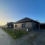 Koje Seeloewe * Schillig