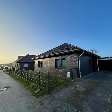 Koje Seeloewe * Schillig